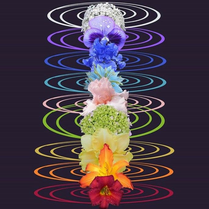 energetsko-iscjeljivanje-na-daljinu